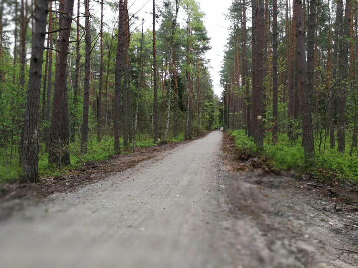 Cicha Dolinka Appartement Stegna  Buitenkant foto